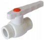 PPR rutulinis ventilis